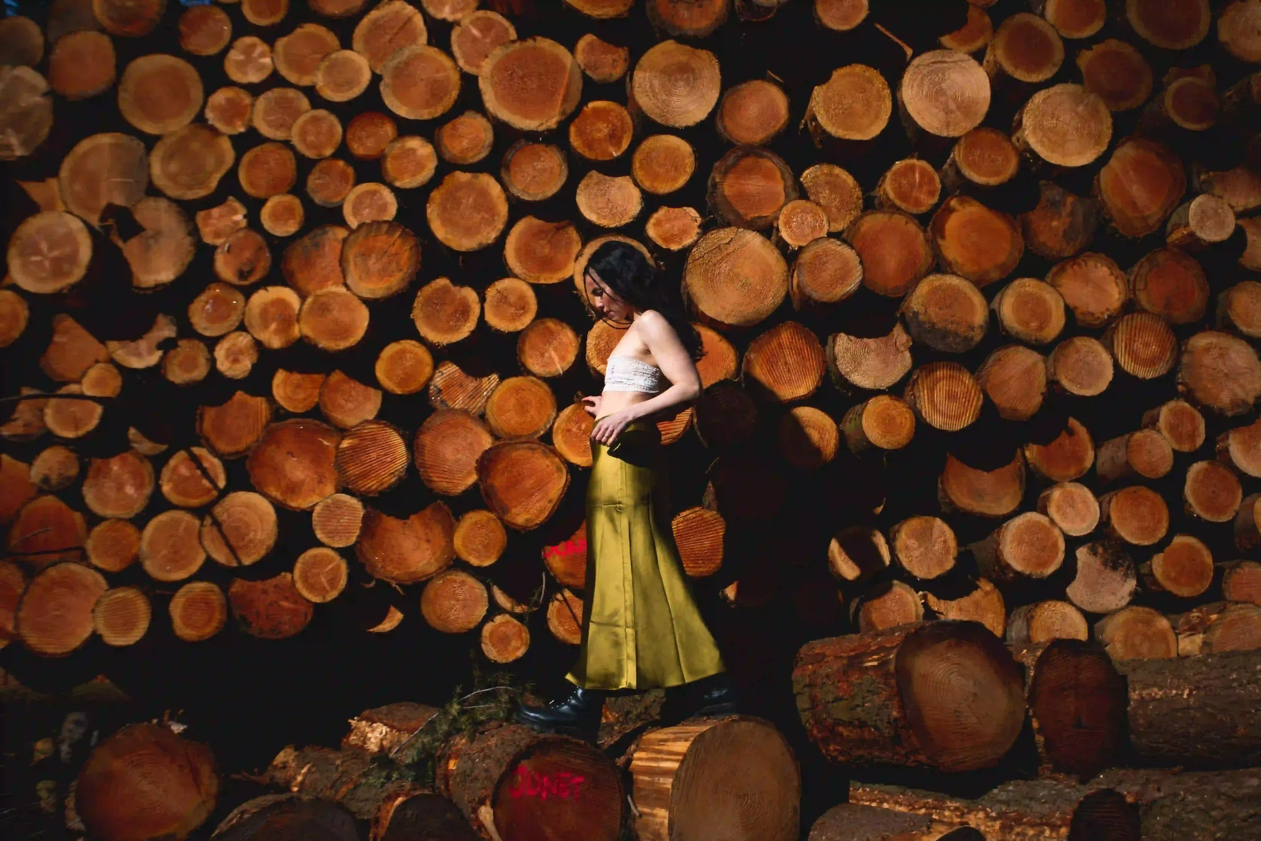 AD7A1864-1-1 ArtSauvage